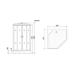 Душевая кабина Niagara Premium NG-6002-01D 100х100