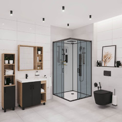 Душевая кабина с гидромассажем Niagara Premium NG-6902-01GQ Black 100х100