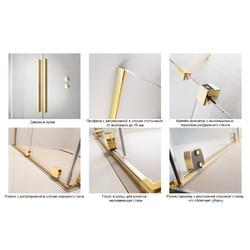 Душевая дверь Radaway Furo DWJ 110х200 Gold