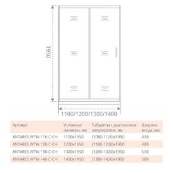 Душевая дверь Good Door ANTARES WTW-110-C-CH