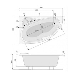 Акриловая ванна Poolspa Europa 165x105 L, с ножками
