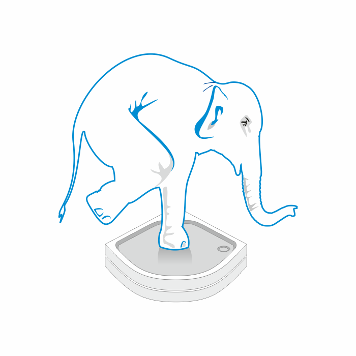 Дополнительная опора